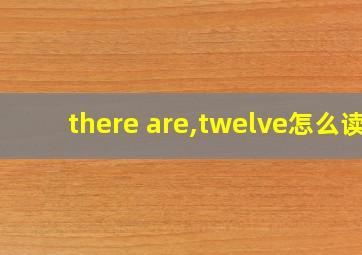 there are,twelve怎么读